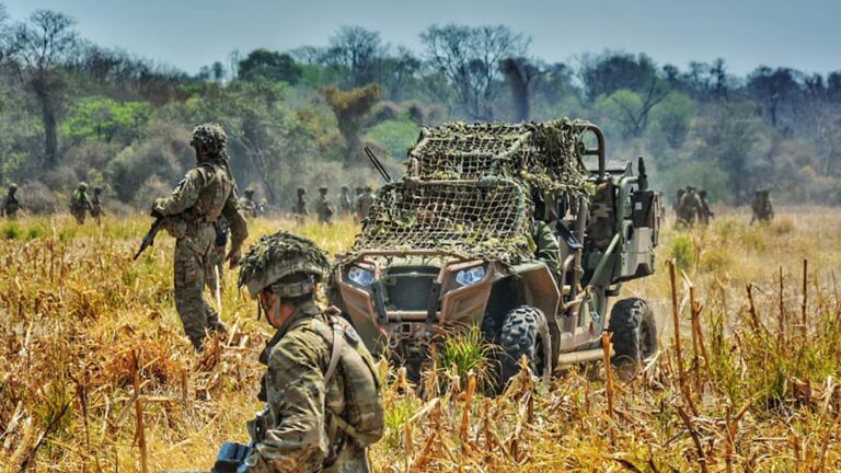 El nuevo servicio militar voluntario en Argentina (SMV)
