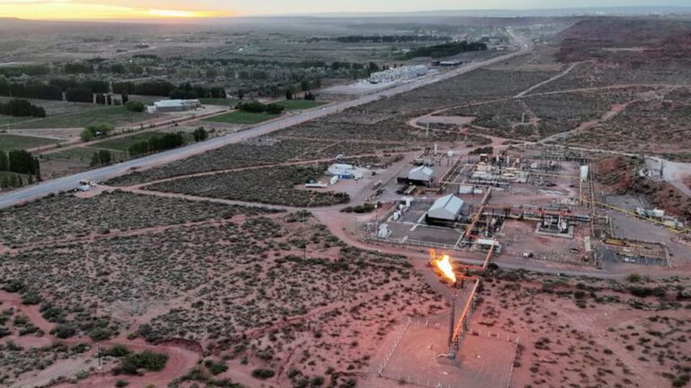 En el primer año del RIGI entraron 20 proyectos por USD 34.422 millones: casi todas las iniciativas son de energía y minería