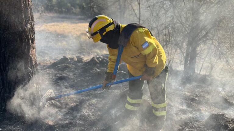 Córdoba: sigue el combate contra el incendio forestal en Guasapampa y el fuego ya llegó al Parque Nacional Traslasierra