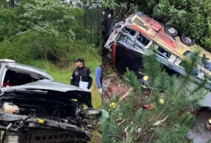 Tragedia en Misiones: una pericia confirmó que el conductor que chocó al micro manejaba alcoholizado