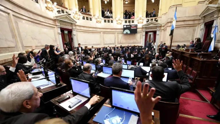 Con amplia mayoría, el Senado rechazó los vetos de Milei y convirtió en ley la emergencia pediátrica y el financiamiento universitario